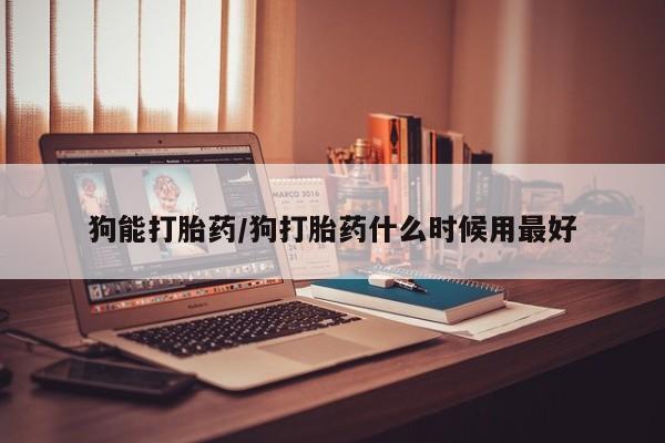 息隐紫竹打胎药流产药狗能打胎药/狗打胎药什么时候用最好