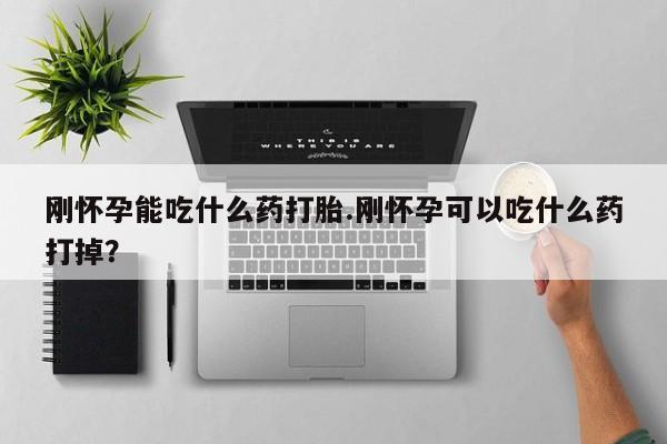 息隐紫竹打胎药流产药刚怀孕能吃什么药打胎.刚怀孕可以吃什么药打掉？