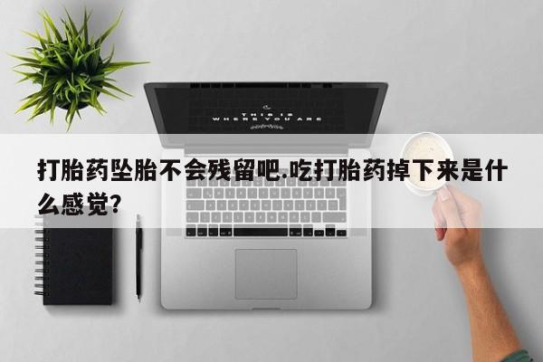 息隐紫竹打胎药流产药打胎药坠胎不会残留吧.吃打胎药掉下来是什么感觉？